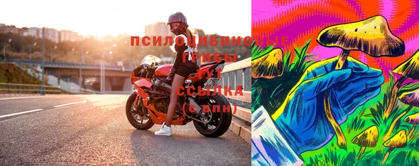 ПСИЛОЦИБИНОВЫЕ ГРИБЫ Армянск