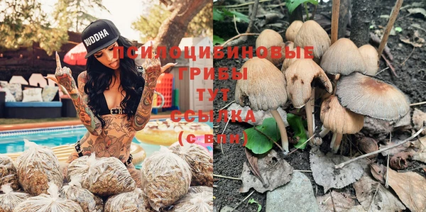 ПСИЛОЦИБИНОВЫЕ ГРИБЫ Армянск