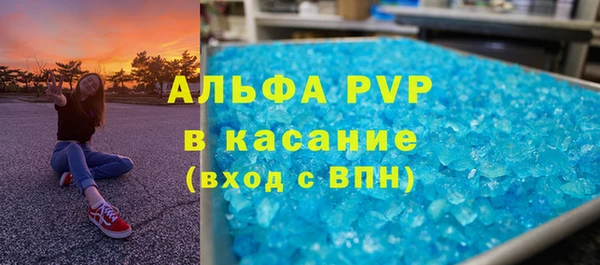 мяу мяу мука Аркадак