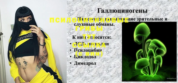 ПСИЛОЦИБИНОВЫЕ ГРИБЫ Армянск