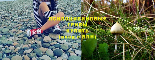 мяу мяу мука Аркадак